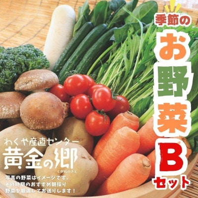 黄金の郷 季節のお野菜 お楽しみBセット【aubless002】