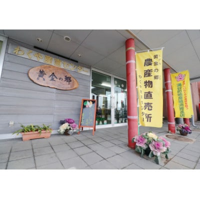 黄金の郷 季節のお野菜 お楽しみBセット【aubless002】