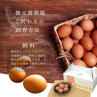 産みたて新鮮卵 30個入り【aubless003】