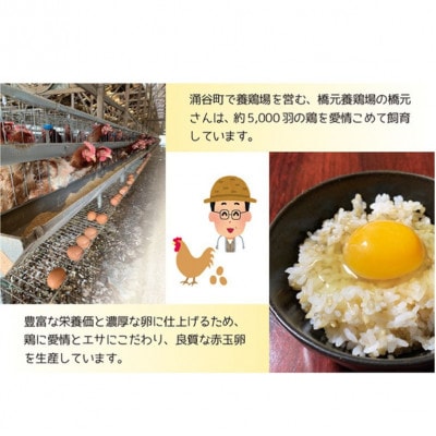 産みたて新鮮卵 30個入り【aubless003】