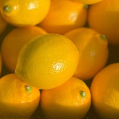 皮まで美味しい 黄金レモン 6個セット【wakuyaengei004】