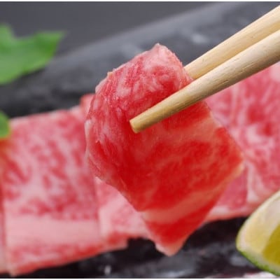 仙台黒毛和牛肩ロース(カルビ焼肉用)約3～4人前 約500g×1P【iseya014】