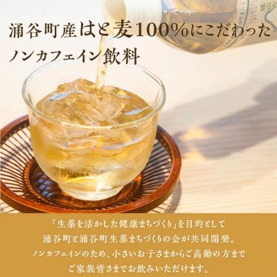 城山の金さんのはと麦茶 500ml×24本