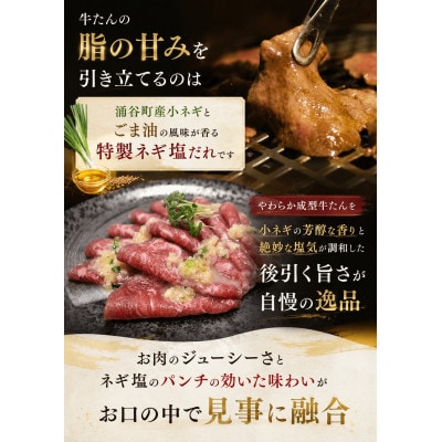 成型牛たんネギ塩味(涌谷産小ねぎ使用) 250g×4