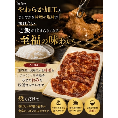 成型牛たん味噌味(涌谷産味噌使用) 250g×4