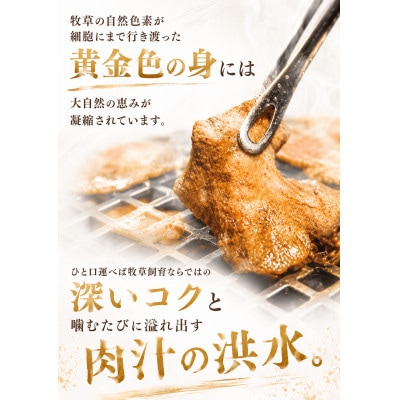 黄金牛たん塩味 250g×4