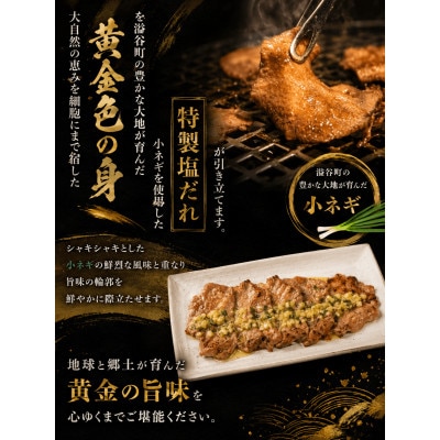 黄金牛たんネギ塩味(涌谷産小ねぎ使用) 250g×4