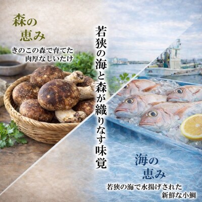 【小鯛の笹漬け】こだわりの小鯛笹漬寿司 2本 コシヒカリと純米富士酢と甘酢生姜の極上ハーモニー