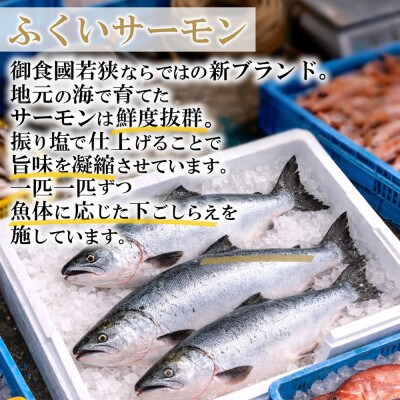 【福井サーモン】こだわりのふくいサーモン寿司 2本セット コシヒカリと純米富士酢と甘酢生姜が絶妙