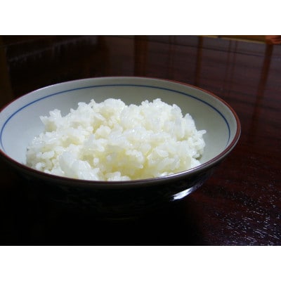 名田の荘コシヒカリ7kg