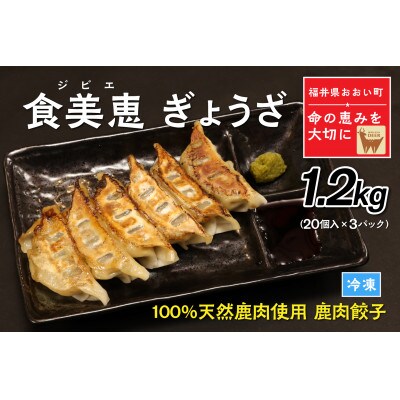 わかさ食美恵ぎょうざ(20個入り×3パック)ジビエ【福井県おおい町】鹿肉ミンチの餃子