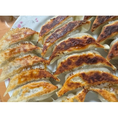 わかさ食美恵ぎょうざ(20個入り×3パック)ジビエ