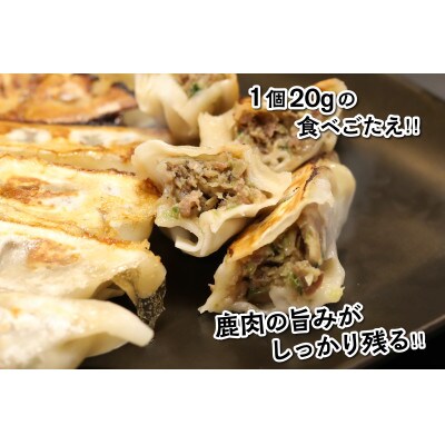 わかさ食美恵ぎょうざ(20個入り×3パック)ジビエ【福井県おおい町】鹿肉ミンチの餃子