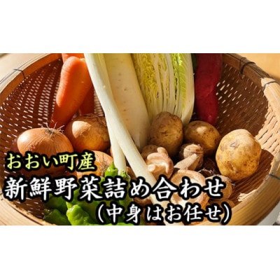 福井県おおい町産 新鮮野菜おすすめ詰め合わせ 約10種類