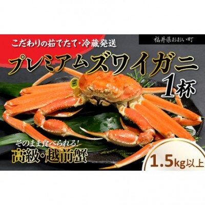 福井県産 越前ガニ1.5kg以上 極みブランドの極上品　濃厚な味噌と身が詰まったズワイガニをお届け