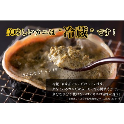 訳アリ【2027年1月より順次発送】越前ガニ 約500g 濃厚な味噌と身が詰まったズワイガニをお届け