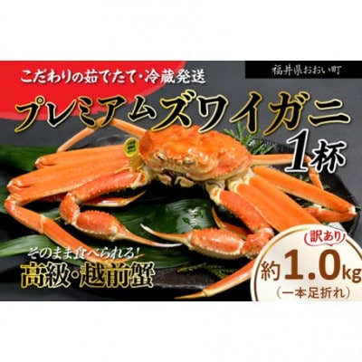 訳アリ【2026年12月より順次発送】越前ガニ 約1kg 濃厚な味噌と身が詰まったズワイガニをお届け