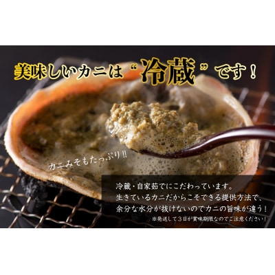 訳アリ【2026年11月より順次発送】越前ガニ 約1kg 濃厚な味噌と身が詰まったズワイガニをお届け