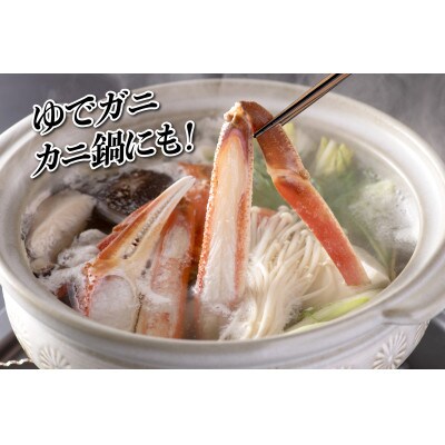 【2027年2月より順次発送】越前ガニ 約500g 濃厚な味噌と身が詰まったズワイガニをお届け