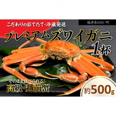 【2027年1月より順次発送】越前ガニ 約500g 濃厚な味噌と身が詰まったズワイガニをお届け