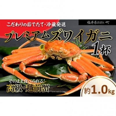 【2026年11月より順次発送】越前ガニ 約1.0kg 濃厚な味噌と身が詰まったズワイガニをお届け