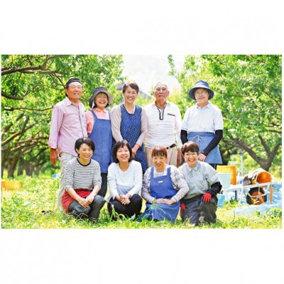 うめっぽの梅干いろいろセット　福井県おおい町産梅使用