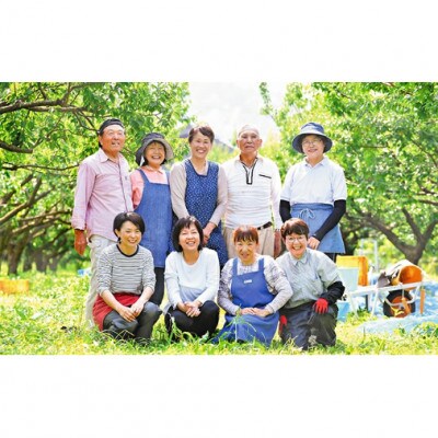 うめっぽの完熟梅ゼリー9本セット　福井県おおい町産梅使用