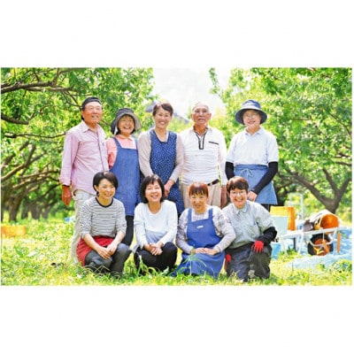 うめっぽのゼリー3種セット9本入り　福井県おおい町産梅使用