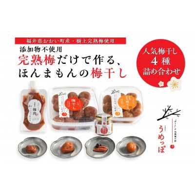おおい町産の希少品種の完熟梅　昔ながらの梅干 人気梅干し4種セット(梅干し2種、梅肉、種無し)