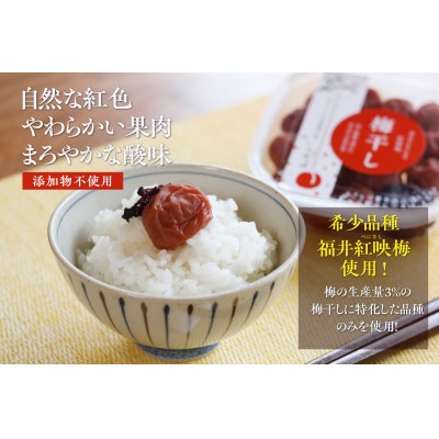 おおい町産の希少品種の完熟梅　昔ながらの梅干 人気梅干し4種セット(梅干し2種、梅肉、種無し)