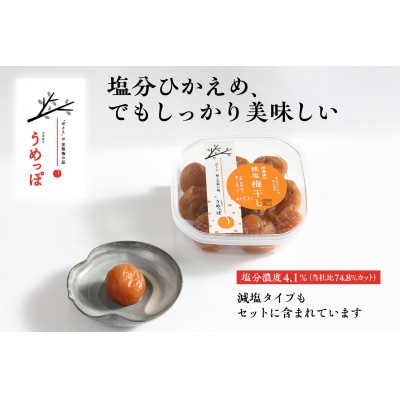 おおい町産の希少品種の完熟梅　昔ながらの梅干 人気梅干し4種セット(梅干し2種、梅肉、種無し)