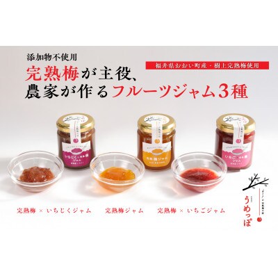 おおい町産完熟梅と地域の果実で作ったすっきり美味しいジャム 3種セット