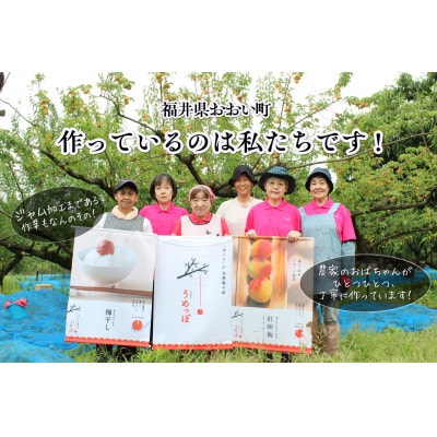 おおい町産完熟梅と地域の果実で作ったすっきり美味しいジャム 3種セット
