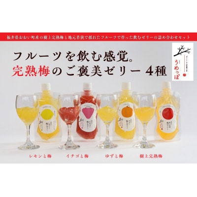 おおい町産希少梅の完熟梅と地域の果実で作ったゼリーセット4種(レモン、いちご、柚子、梅)