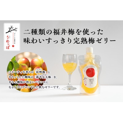 おおい町産希少梅の完熟梅と地域の果実で作ったゼリーセット4種(レモン、いちご、柚子、梅)