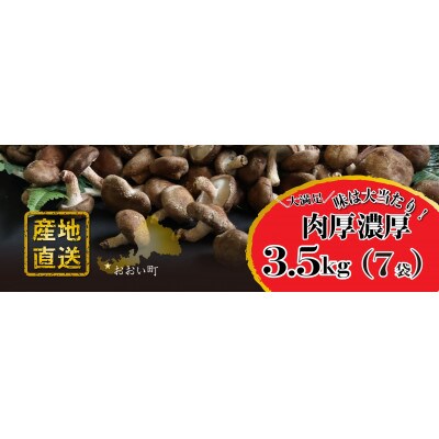 【訳アリ】おーいしいたけ 約3.5kg(約30～33人分) 採れたてキノコを産地直送