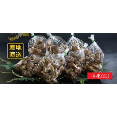 【訳アリ】おーいしいたけ 約3.5kg(約30～33人分) 採れたてキノコを産地直送