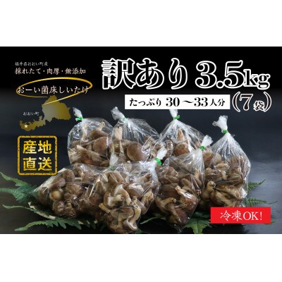 【訳アリ】おーいしいたけ 約3.5kg(約30～33人分) 採れたてキノコを産地直送