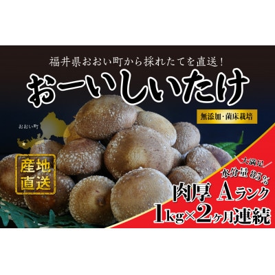 【毎月定期便】おーいしいたけ　約1kg(1箱) 水分量85%のこだわり無添加福井県おおい町産 全2回