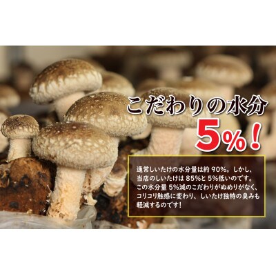 【毎月定期便】おーいしいたけ　約1kg(1箱) 水分量85%のこだわり無添加福井県おおい町産 全2回