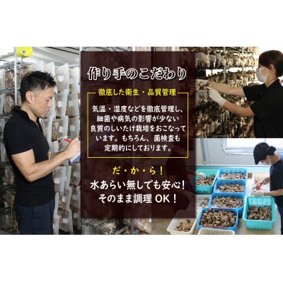 【毎月定期便】おーいしいたけ　約1kg(1箱) 水分量85%のこだわり無添加福井県おおい町産 全2回