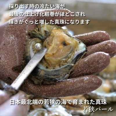 若狭パール 艶々あこや真珠 編み込みボールペンダント 7mm P-2495
