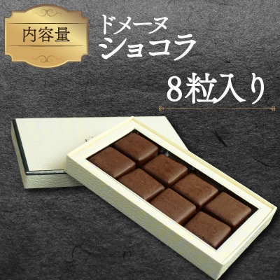 ドメーヌ ショコラ 8粒入り