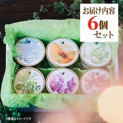 ジェラート 6個 セット 各120ml