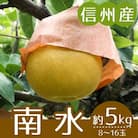 【信州産】南水梨　秀品　約5kg(8～16玉入り)　2025年9月中旬から順次発送