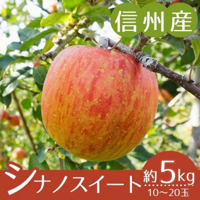 【信州産】シナノスイート　秀品　約5kg(10～20玉)　10月中旬から順次発送　