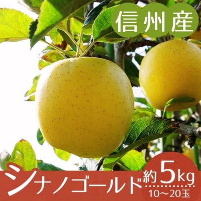 【信州産】シナノゴールド　秀品　約5kg(10～20玉)
