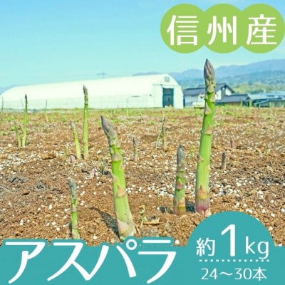 【信州産】アスパラガス　秀品　約1kg(500g×2袋入り)　2026年4月中旬より順次発送