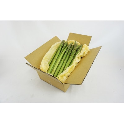 【信州産】アスパラガス　秀品　約1kg(500g×2袋入り)　2026年4月中旬より順次発送