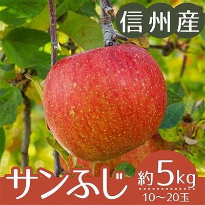 【信州産】サンふじりんご　秀品　約5kg(10～20玉)　2025年11月下旬から順次発送